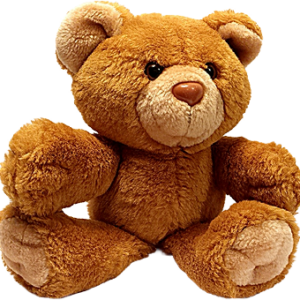 Teddy Bears